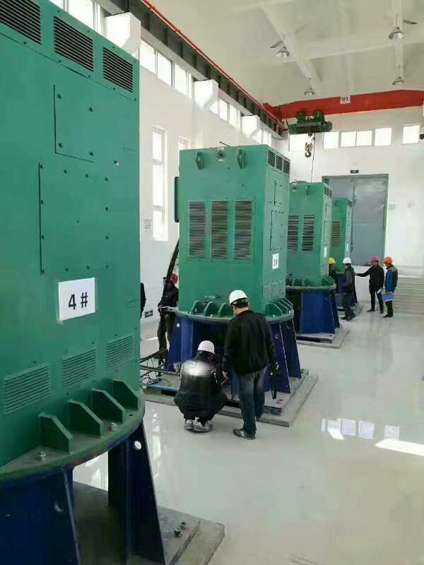 皋兰某污水处理厂使用我厂的立式高压电机安装现场