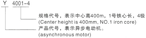 西安泰富西玛Y系列(H355-1000)高压皋兰三相异步电机型号说明