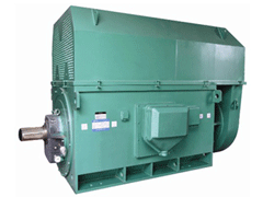 皋兰Y系列6KV高压电机